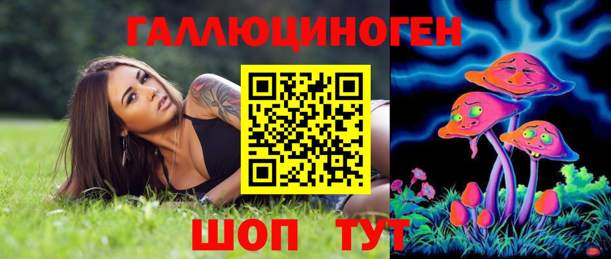 Сорочинск  Галлюциногенные грибы прущие грибы  Вход с VPN 